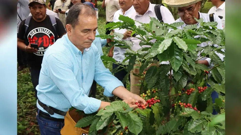 En los &uacute;ltimos cinco a&ntilde;os, el precio del caf&eacute; ar&aacute;bica ha experimentado una volatilidad sin precedentes, impulsada por crisis clim&aacute;ticas y disrupciones log&iacute;sticas.