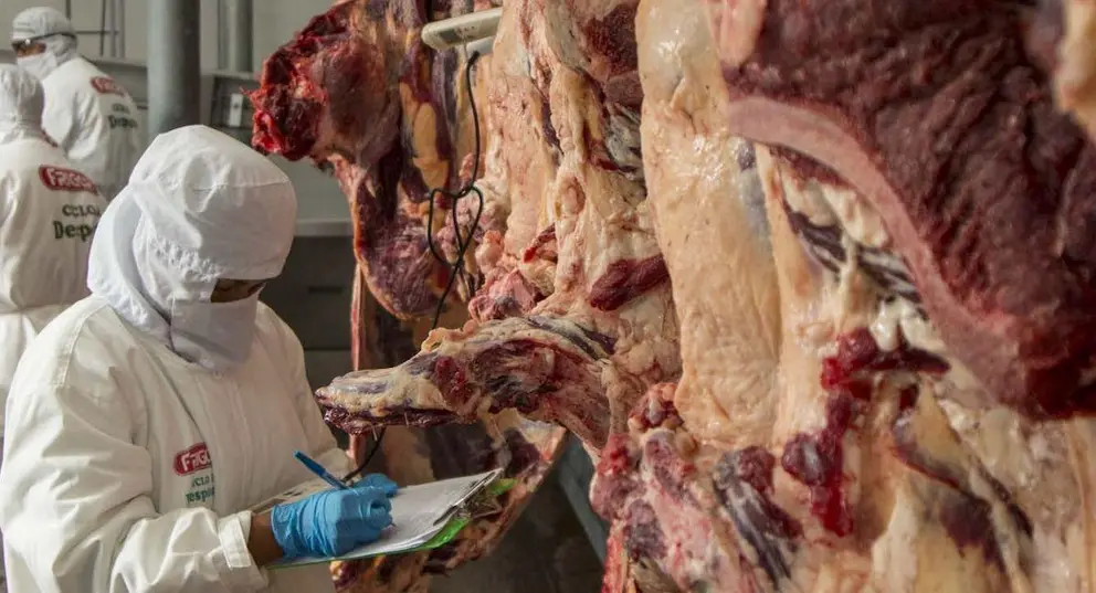 Exportacion_de_carne-ABI