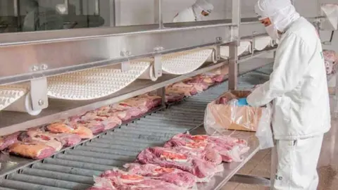 EXPORTACION-DE-CARNE