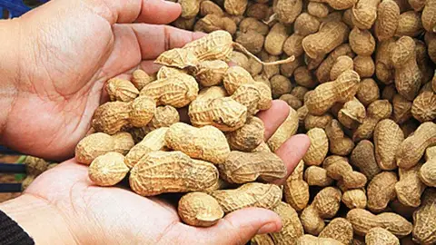 EXPORTACION-DE-MANI