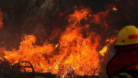 INCENDIOS-FORESTALES-EN-BOLIVIA