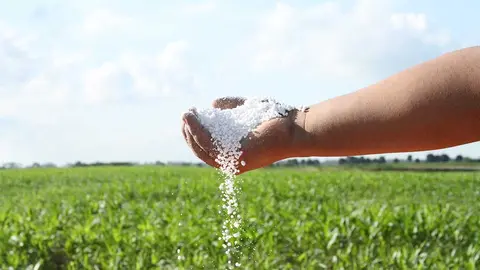 UREA-PRECIO-CONSUMIDORES