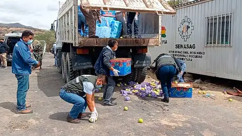 SENASAG-PRODUCTOS-DESTRUCCION