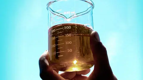 BIODIESEL-ARGENTINA
