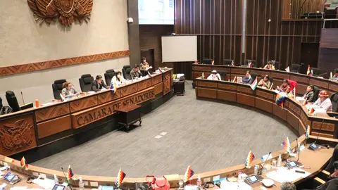 Camara Senadores