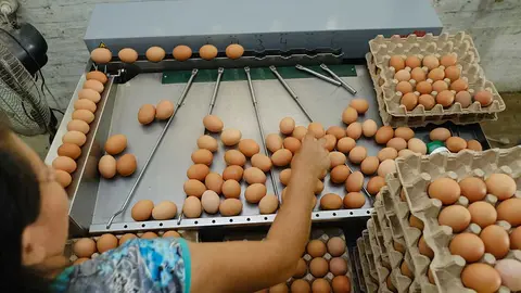 DIA-MUNDIAL-DEL-HUEVO