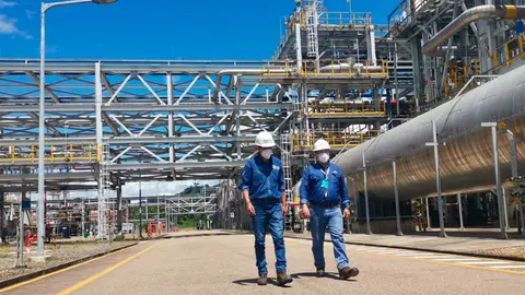 Planta-urea-foto-anh