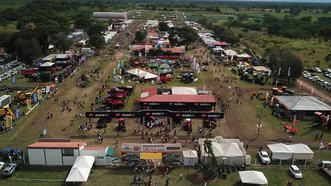 FERIA-VIDAS-2021