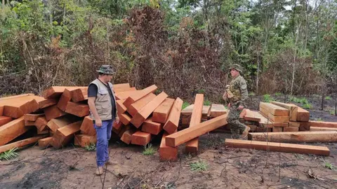 EXTRACCION-DE-MADERA-FRONTERA-PERU