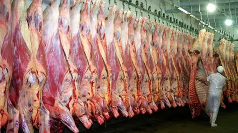 CARNE-DE-RES-FOTO-FEGASACRUZ