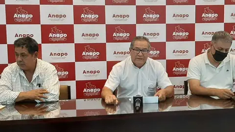 ANAPO-AVASALLAMIENTOS