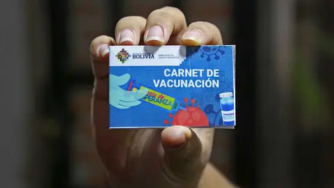 CARNET-DE-VACUNACION-DEL-GOBIERNO