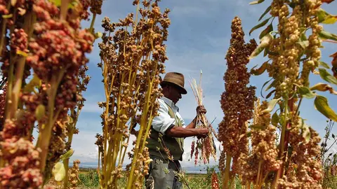 ECONOMIA-BOLIVIA