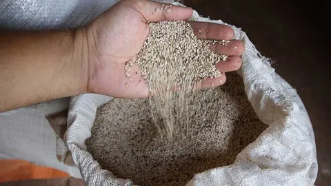CHIA-EXPORTACI&Oacute;N