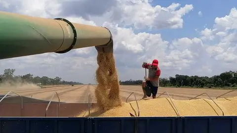 SOYA-BIOTECNOLOGIA-ANAPO-1
