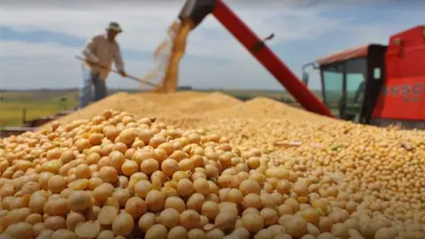 CANIOB-SOYA-BIOTECNOLOGIA
