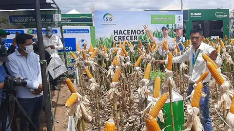 ANAPO-ABASTECIMIENTO-DE-ALIMENTOS-1