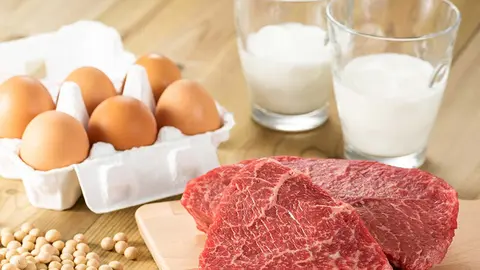 PROTEINA-ANIAL