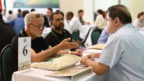madera-boliviana-congreso-1