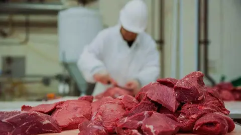 CARNE-DE-RES-EXPORTACION-1
