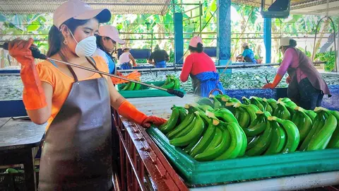 EXPORTACION-DE-ALIMENTOS-IBCE-INE