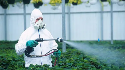 LIBERACION-DE-IMPORTACIONES-FERTILIZANTES