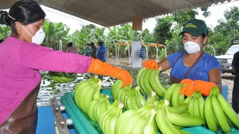 EXPORTACIONES-NO-TRADICIONALES
