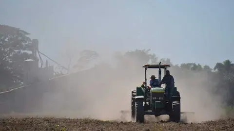 SECTOR-AGROPRODUCTOR