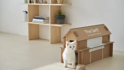Samsung Eco-packaging 