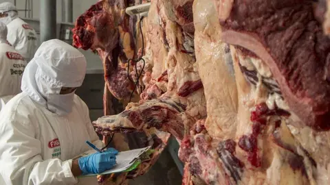 01_exportacion_de_carne