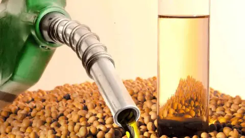 BIODIESEL