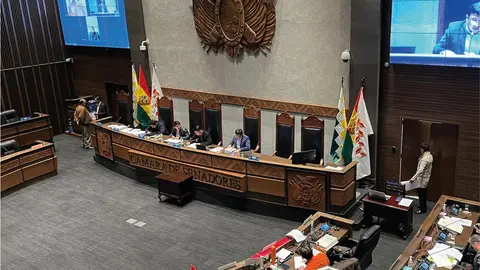 senado
