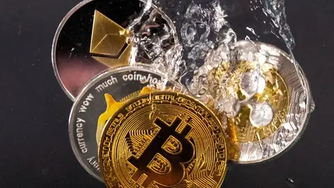 cripto