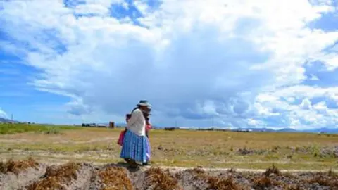 mujer-en-el-altiplano