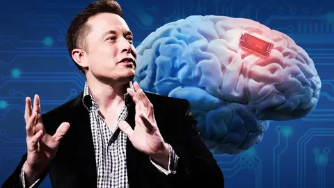 elon musk chip