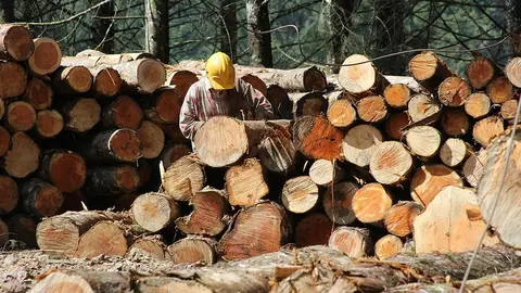 FSC Bolivia