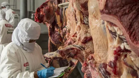 000000_CARNE_RES