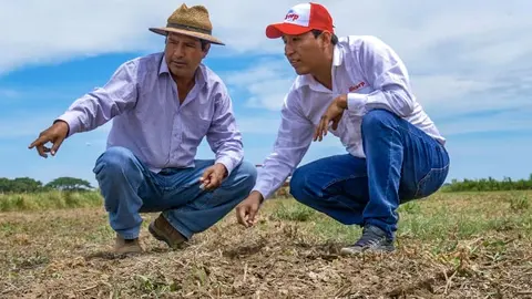 Los productores de grano son socios estrat&eacute;gicos para Alicorp y se busca acompa&ntilde;ar su crecimiento con estas capacitaciones