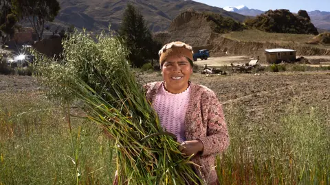 El programa &ldquo;Mujer BDP&rdquo; financi&oacute; a 4.356 unidades productivas lideradas por f&eacute;mina