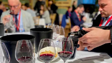 000000_VINO