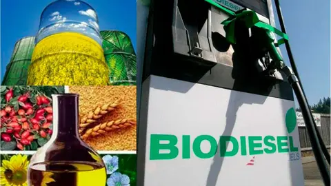 Biocombustibles