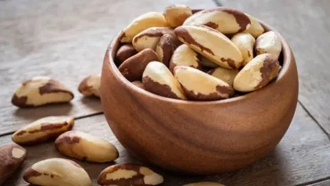 Casta&ntilde;a boliviana