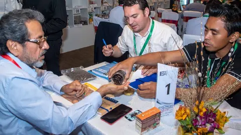 CACAO