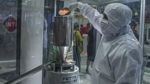 Fabricaci&oacute;n en vivo de la vitamina C