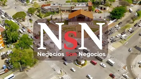 NsN programa 2