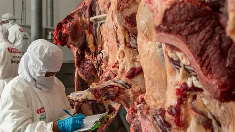 CARNE-DE-RES-ABASTECIMIENTO