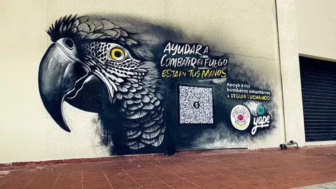 YAPE-CENIZAS-01