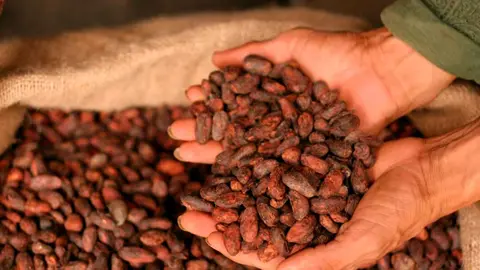 CACAO-01