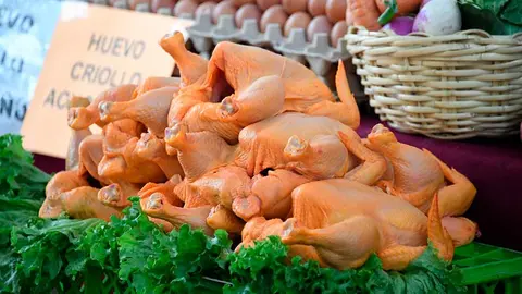 ABASTECIMIENTO-DE-POLLOS