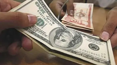 DOLARES